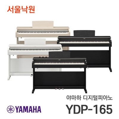 Must Have Item ydp165 인기 아이템 리스트 6