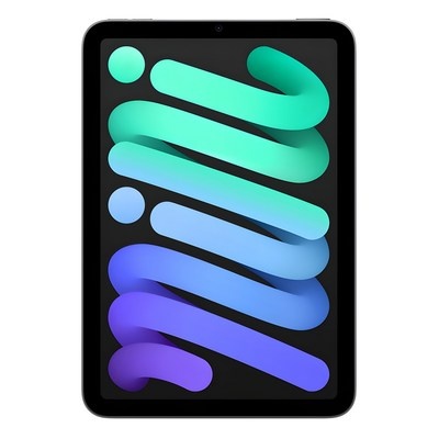 ipadmini